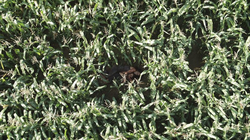 Caged – Bild: Silverline