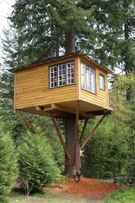 Die Baumhaus Profis