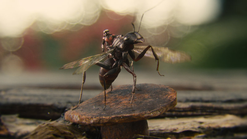 Marvel's Ant-Man/Scott Lang (Paul Rudd) riding Antony – Bild: Marvel 2015 Marvel's Ant-Man/Scott Lang (Paul Rudd) riding Antony – Bild: Marvel 2015
