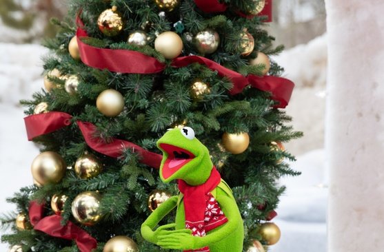 Kermit der Frosch – Bild: 2022 Disney und seine verbundenen Unternehmen Kermit der Frosch – Bild: 2022 Disney und seine verbundenen Unternehmen