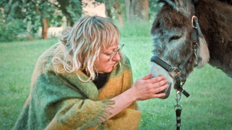 – Bild: Salzgeber – Bild: Salzgeber