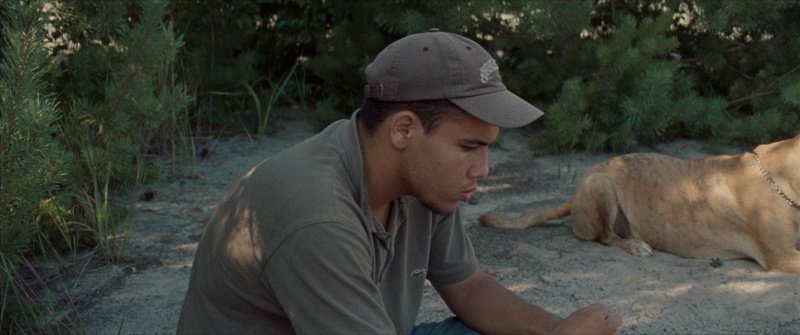  – Bild: Grandfilm /​ Vajda Film
