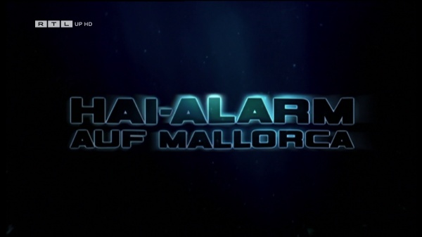 Hai-Alarm auf Mallorca – Bild: RTLup/​Screenshot