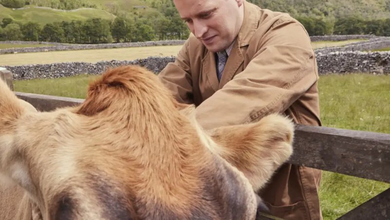 Der Kriegsausbruch und eine Tierseuche erschüttern James Herriot (Nicholas Ralph) – Bild: Courtesy of Playground Entertainment and MASTERPIECE