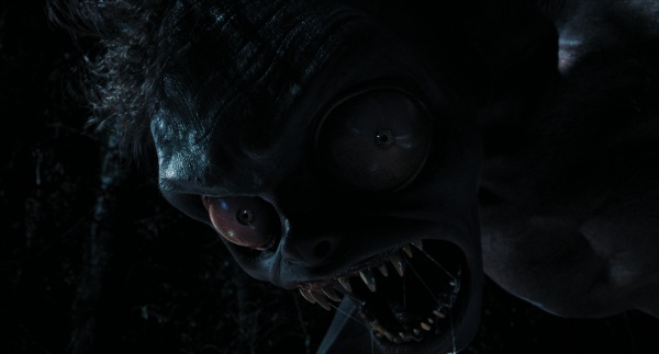 Daniel Himschoot – Bild: COURTESY OF NETFLIX