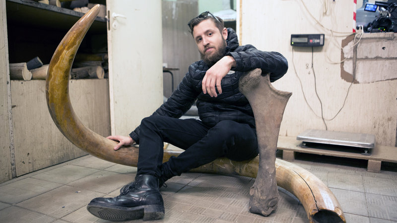 Die Vice Reports Die Vice Reports