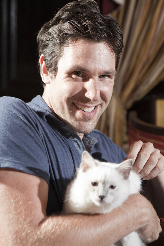 Nach Katzen Nach Katzen