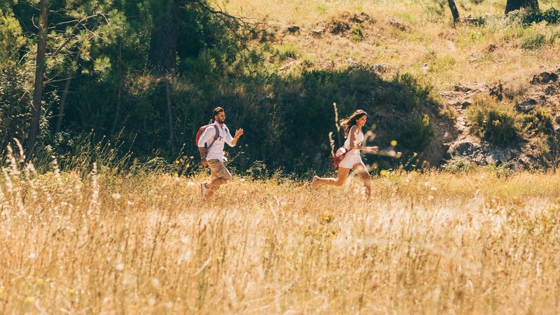 Der Zauber in Dir – Bild: Zee.One