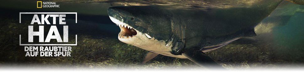 Akte Hai – Dem Raubtier auf der Spur