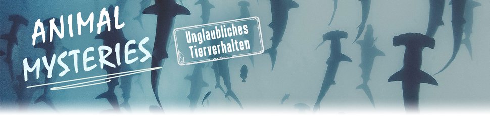 Animal Mysteries – Unglaubliches Tierverhalten