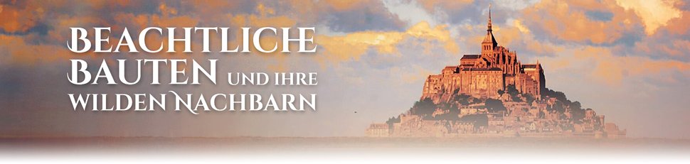 Beachtliche Bauten und ihre wilden Nachbarn Beachtliche Bauten und ihre wilden Nachbarn