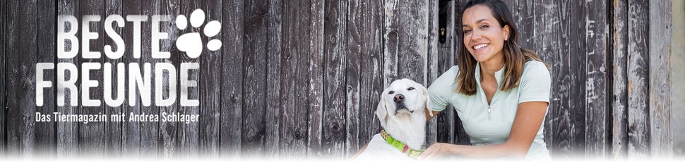 Beste Freunde – Das Tiermagazin