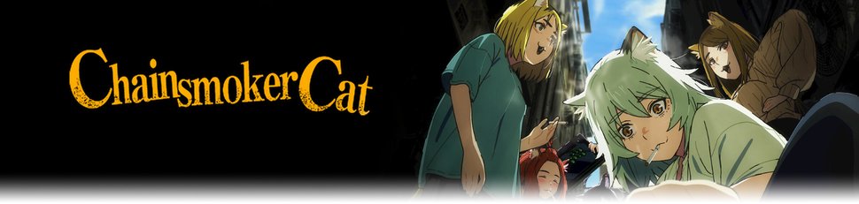 Chainsmoker Cat Chainsmoker Cat