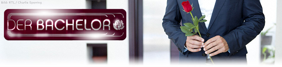 Der Bachelor Sendetermine 04 03 2020 14 03 2020 Fernsehserien De