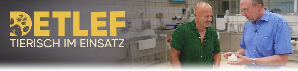 Detlef tierisch im Einsatz