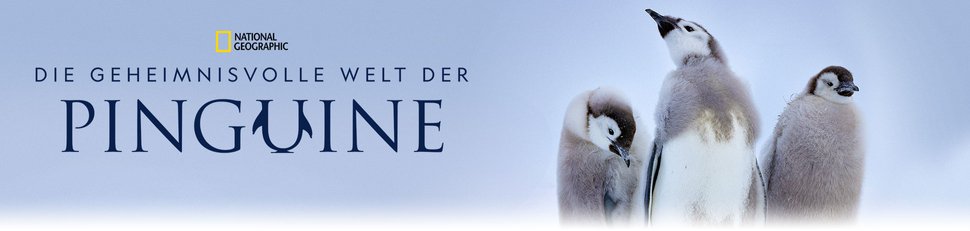 Die geheimnisvolle Welt der Pinguine