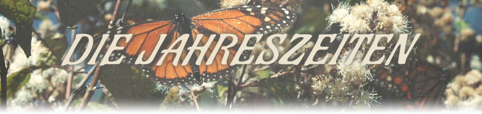 Die Jahreszeiten Episodenguide fernsehserien.de