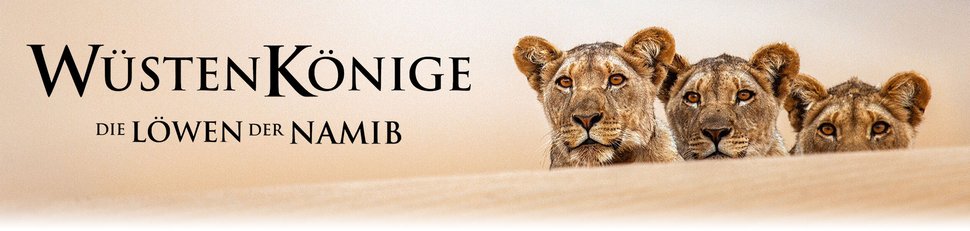 Die Löwen der Namib