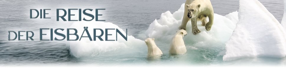 Die Reise der Eisbären Die Reise der Eisbären