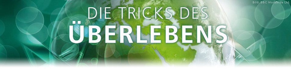 Überlebens Serien Überlebens Serien