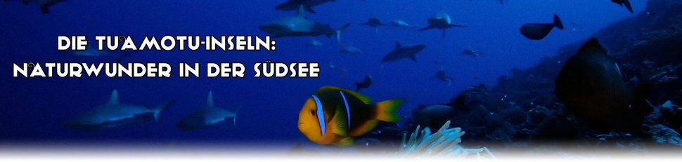 Die Tuamotu-Inseln: Naturwunder in der Südsee