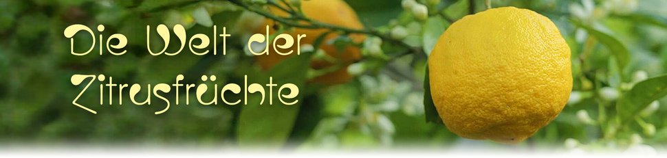 Die Welt der Zitrusfrüchte Die Welt der Zitrusfrüchte