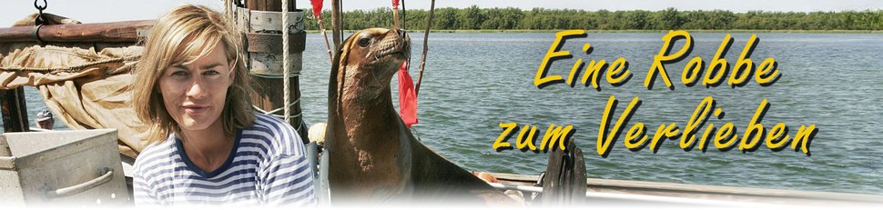Eine Robbe zum Verlieben