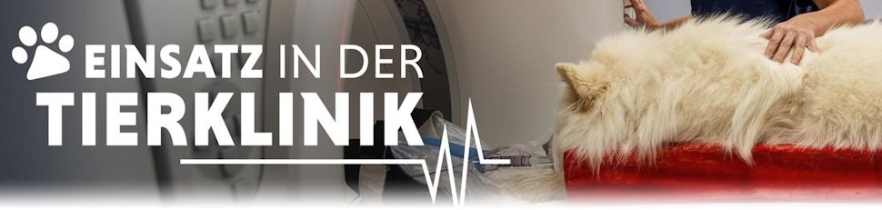 Einsatz in der Tierklinik
