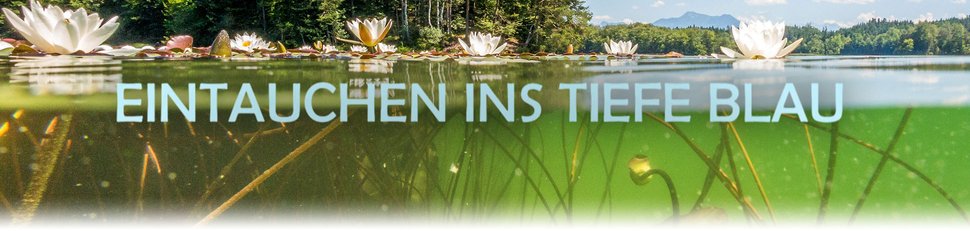 Eintauchen ins tiefe Blau