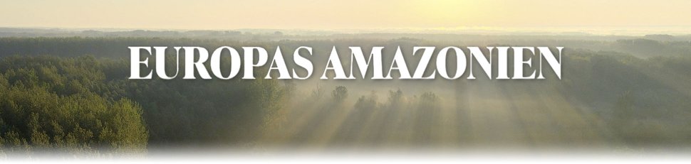 Europas Amazonien