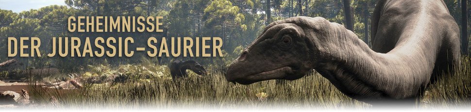 Geheimnisse der Jurassic-Saurier