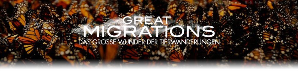 Great Migrations – Das große Wunder der Tierwanderungen