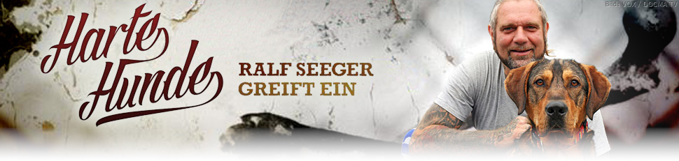 Harte Hunde Ralf Seeger Greift Ein Sendetermine 11012020