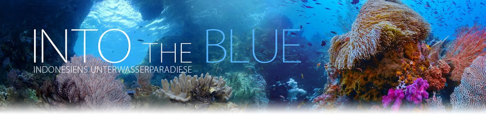 Into the Blue – Indonesiens Unterwasserparadiese