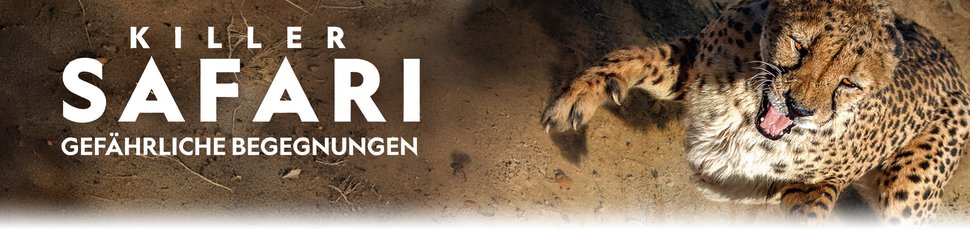 Killer Safari: Gefährliche Begegnungen
