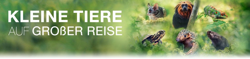 Kleine Tiere auf großer Reise Kleine Tiere auf großer Reise