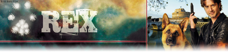 Kommissar Rex (2008) fernsehserien.de