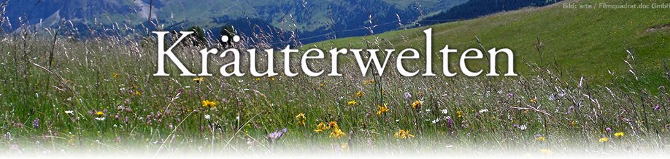 Kräuterwelten