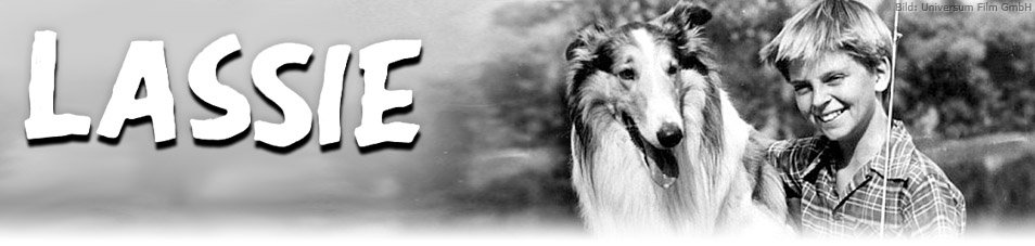 Lassie 1954 Fernsehseriende 