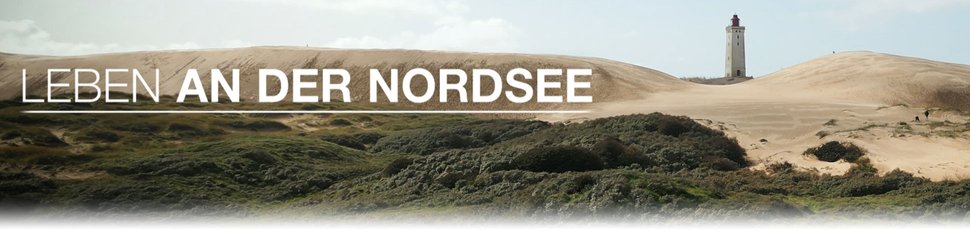 Leben an der Nordsee