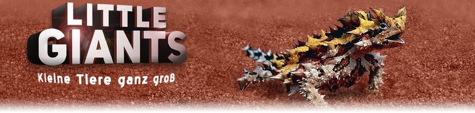 Little Giants – Kleine Tiere ganz groß