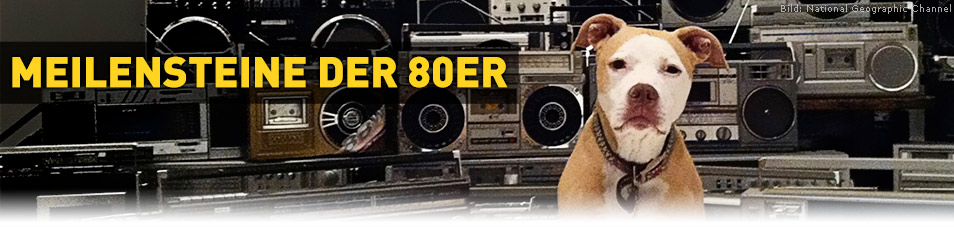 Meilensteine der 80er Meilensteine der 80er