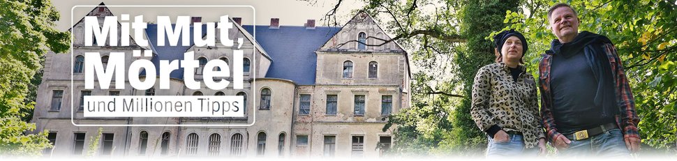Mit Mut, Mörtel und Millionen Tipps Mit Mut, Mörtel und Millionen Tipps