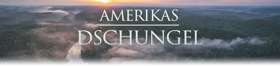 Nordamerikas Dschungel