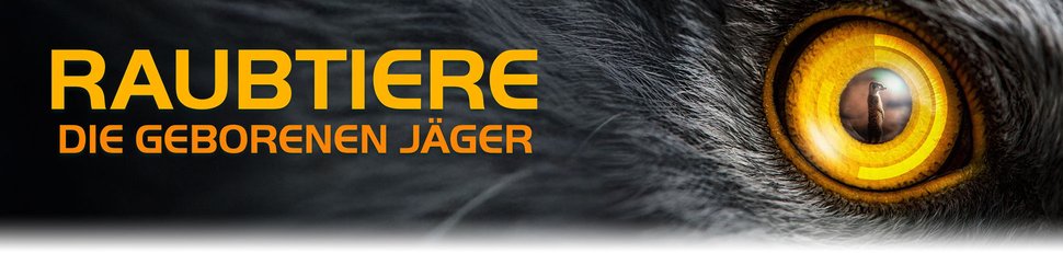 Raubtiere – Die geborenen Jäger