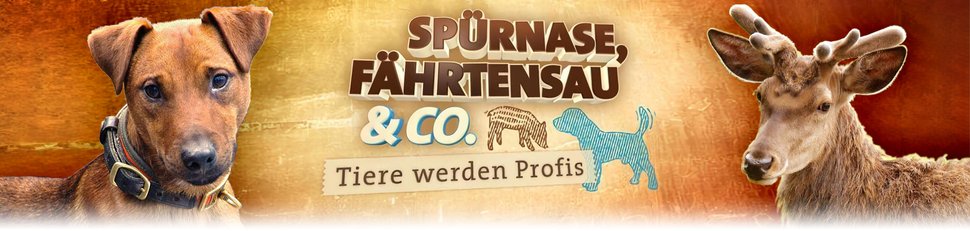 Spürnase, Fährtensau & Co.