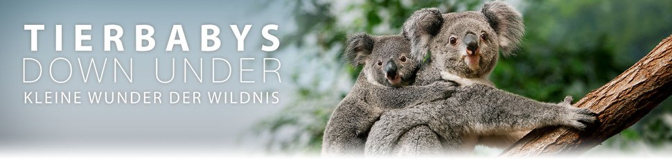 Tierbabys Down Under – Kleine Wunder der Wildnis