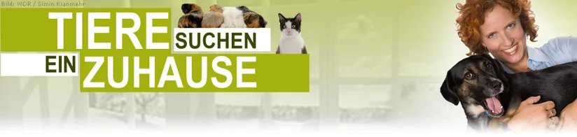 Tiere Suchen Ein Zuhause Sendetermin Wdr 01 03 2020 18 15 Uhr