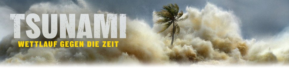 Tsunami: Wettlauf gegen die Zeit