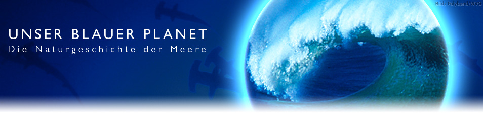 Unser blauer Planet (2001) – fernsehserien.de